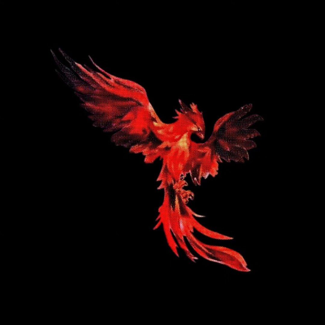 IGNITE Phoenix Mascot Flying